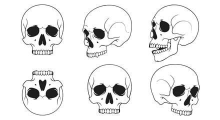 Minimalist Vector SVG Skull Set with Black Outline and Line Art Style for Digital Illustration and Web Design