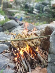 Closeup view of chicken grill with blurred background. Food photography concept design at outdoor. Barbeque at mountain and camping ground.
