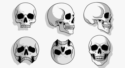 Vector SVG Icon Set of Skull Symbols in Modern Flat Style with Monochrome Gray Colors for Digital and Web Design