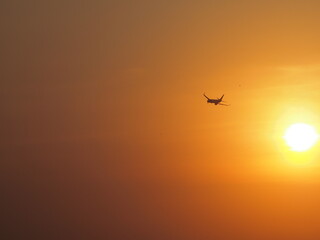 Beautiful aerial view of orange sky and sun at outdoor with blurred background. Landscape panorama photography concept design at airport. Silhouette of airplane at sunset time.