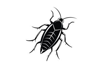 A black silhouette of a cockroach with detailed legs and body markings isolated on white background silhouette