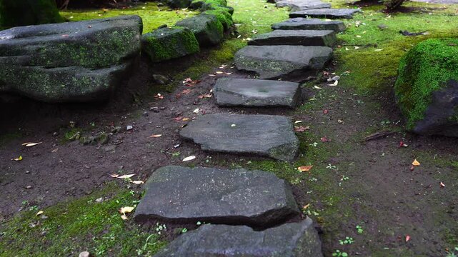A close-up of a mossy stepping stone path through a serene and traditional Japanese garden.
