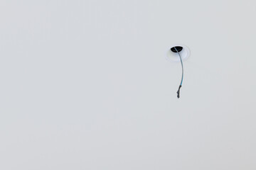 Close up detail of lone electrical wire hanging from white ceiling during house renovation. minimal construction scene shows an unfinished space with room for design