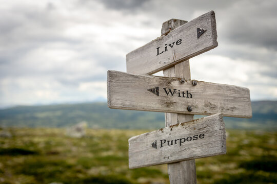 A wooden sign in nature with the words Live With Purpose. Motivational and inspiring artwork, ideal for themes of mindfulness, personal growth, and wellness. 