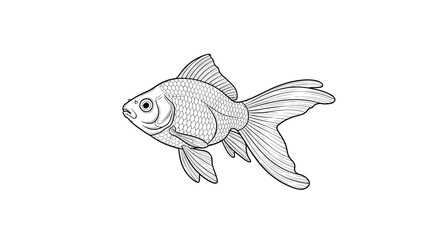 Elegant line art illustration of a goldfish with intricate details and flowing fins