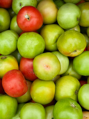 A bunch of raw organic green tomatoes and a few red tomatoes on sale at a farmers market