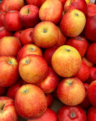Lots of ripe fresh apples as a health background texture header.