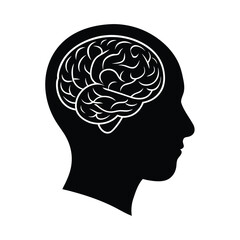 human brain head anatomy drawing