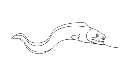 Eel marine life aquatic vector line art depiction for design embellishment