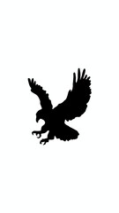 eagle in flight