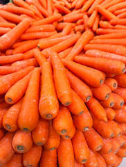 Close up of farm fresh carrots in a perfect shade of orange, showing off their natural beauty. Healthy and organic carrots