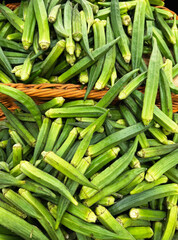 Fresh Lady Finger Okra Green Vegetable Organic Produce High Quality Image Isolated on texture Background