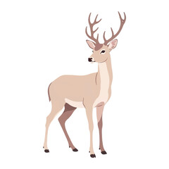 Obraz premium Majestic Deer with Antlers Standing Gracefully.