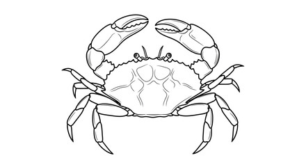Detailed Line Art Depiction of a Crab with Raised Claws on a White Background
