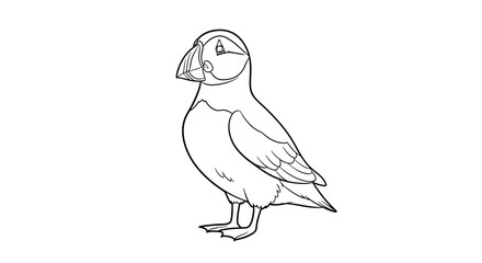 Line art illustration of a puffin with its distinctive beak and plumage simplicity offers