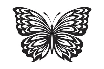 Black and White Butterfly Elegant Wing Patterns on White Background