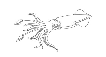 Elegant squid artwork displays minimalist lines against a stark white backdrop perfect for