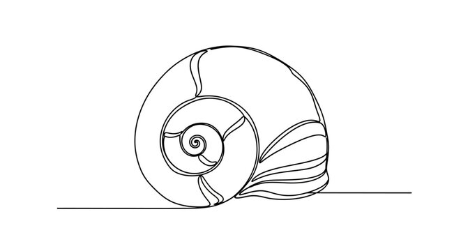 Elegant spiral of a seashell in a continuous line drawing for marine life art