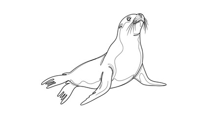 Elegant sea lion outline illustration showcasing unique marine wildlife drawing skill