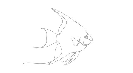 Elegant minimalistic drawing of an angelfish on a crisp white backdrop perfect for graphic design