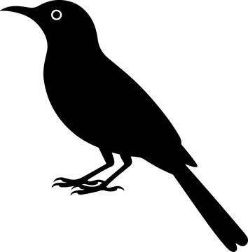 mockingbird silhouette vector illustration