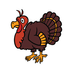 Hand Drawn Turkey Bird Cartoon Illustration