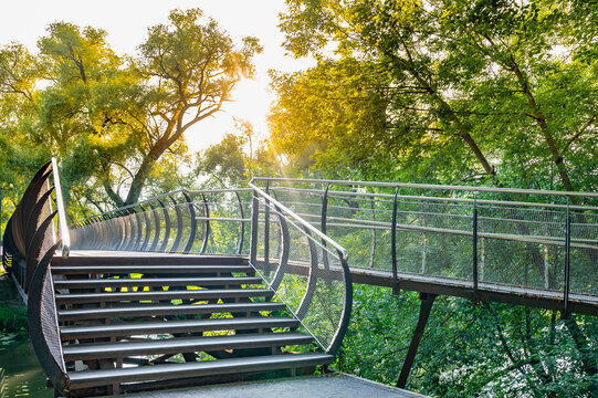 Modern Curved Pedestrian Bridge in Lush Park Setting