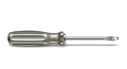 Fototapeta premium A Silver Flat Head Screwdriver Illustrating Precision Engineering and Functionality