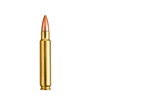Bullet Ammunition Cartridge Close-up