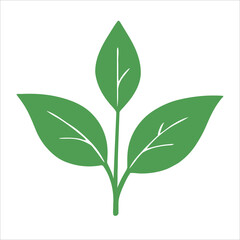 Simple Green Triple Leaf Sprout Icon Vector