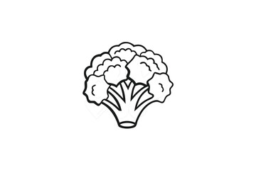 Cauliflower Outline Icon with White Background and Minimalist Style