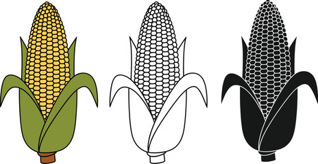 Corn cob vector illustration agriculture harvest maize food plant