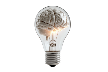 3d bulb with brain on white backround. originality ,ideas