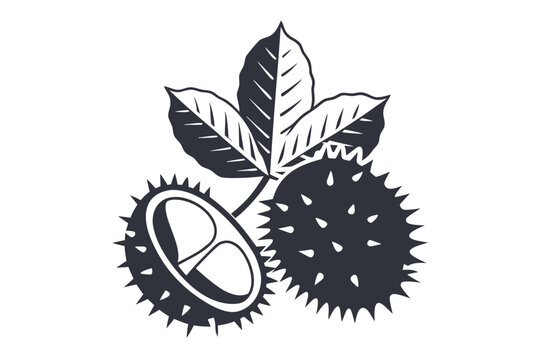 black and white chestnut leaves and nuts clip art preview