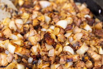 Close-up of fried pork pieces with golden roasted onion. Homemade comfort food concept, delicious dinner