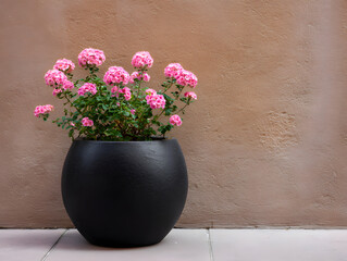 Pink Flowers in Dark Pot Against Tan Wall Simple Floral Design