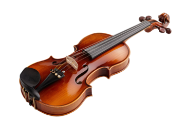 Violin,  rich golden hue,  isolated on black