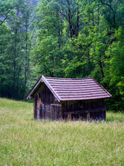 wooden house in the woods