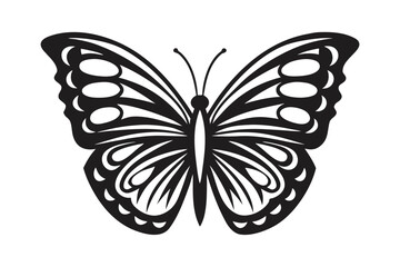 Detailed Black Butterfly on White Background Art Design