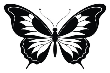Detailed Butterfly Wings Isolated On White Background, Nature, Simple Design