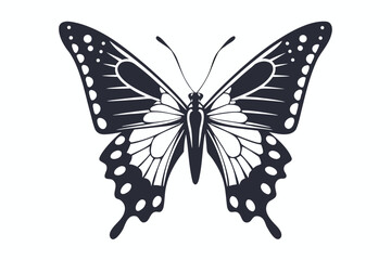 Elegant Butterfly with White Background Detailed Wing Pattern