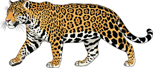 Realistic cartoon jaguar walking with detailed rosette pattern, golden-yellow fur and black spots, wild animal vector on white background