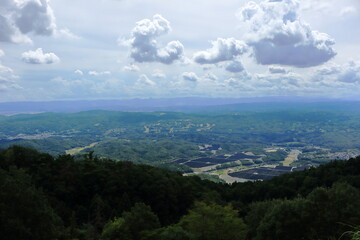 Fototapeta premium 緑に囲まれた大規模ソーラー発電所