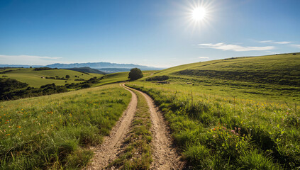Naklejka premium Winding Path Through Lush Green Hills Under Sunny Sky