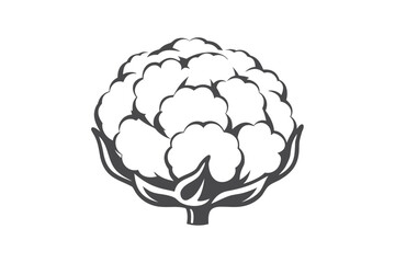 Isolated Cotton Plant Art Silhouette Style on White Background