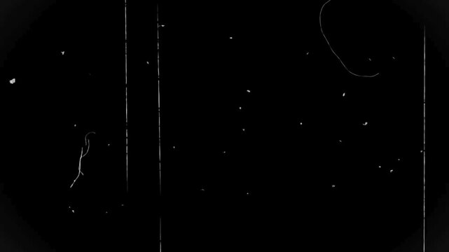 The cinematic dirt film overlay in black background.