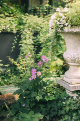 Elegant Floral Shopfront with Lush Greenery and Blooming Flowers