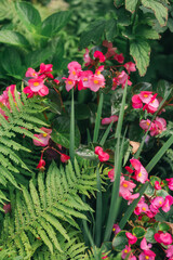 Elegant Floral Shopfront with Lush Greenery and Blooming Flowers
