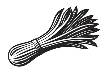 Monochrome Bunch of Tied Green Onions with Leaves on White Background