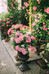 Elegant Floral Shopfront with Lush Greenery and Blooming Flowers